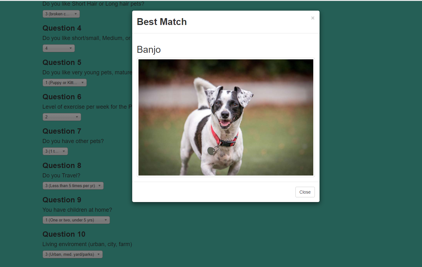 FurKeeps Match Modal